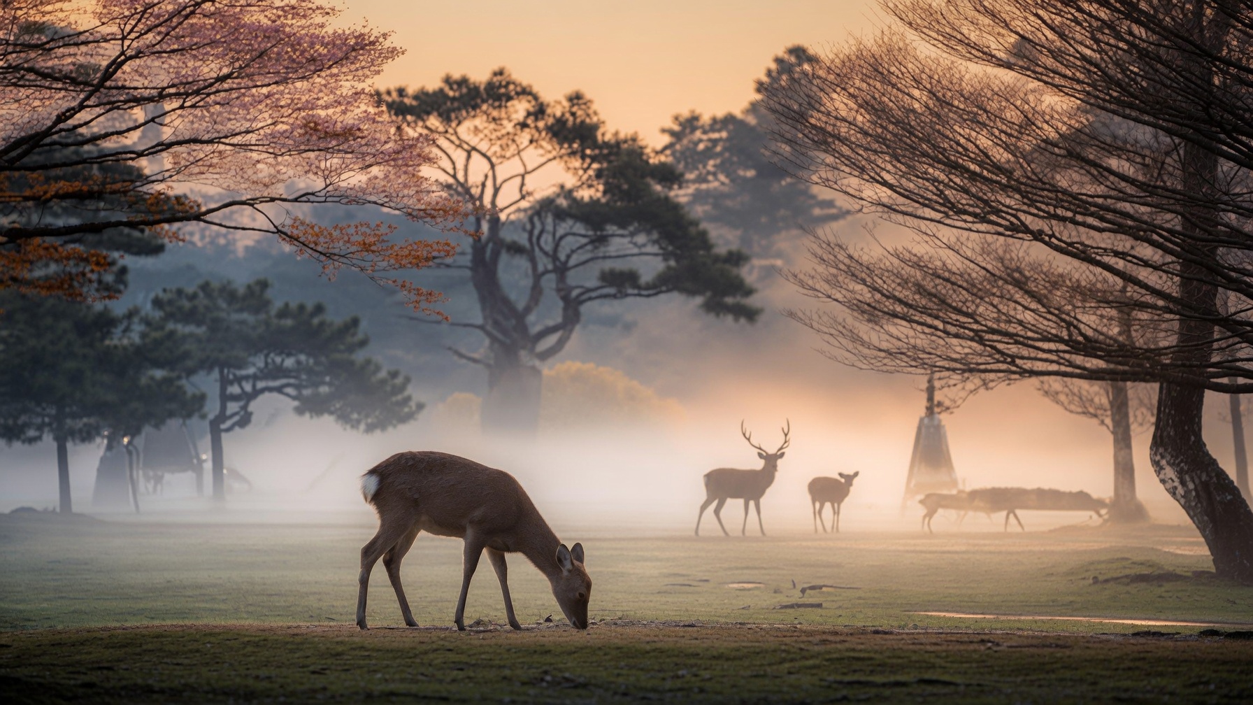 Sika deer grazing in the early morning light at Nara Park, with ancient trees and soft mist in the background.