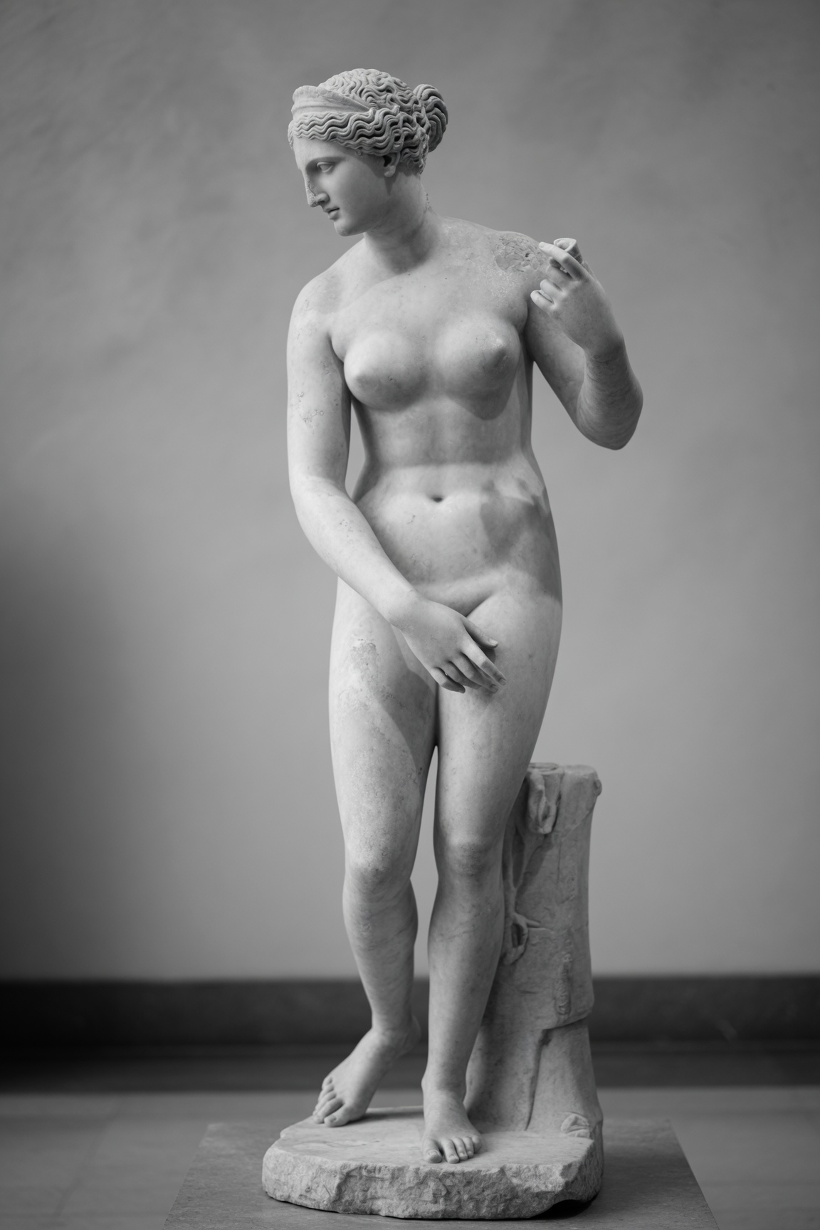Classical sculpture of the nude figure